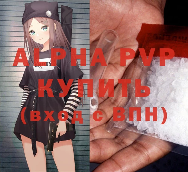 индика Зеленодольск