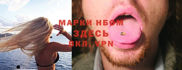 индика Зеленодольск