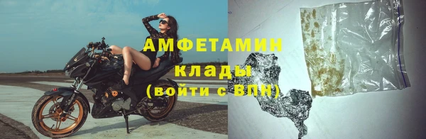 индика Зеленодольск
