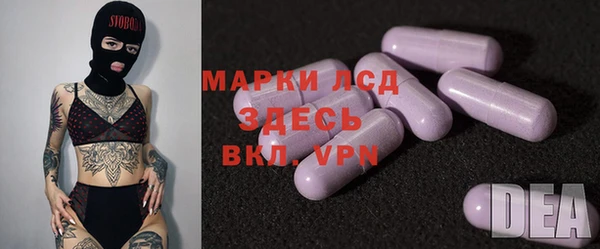 индика Зеленодольск