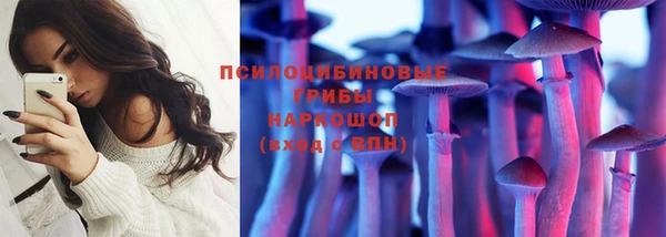 индика Зеленодольск