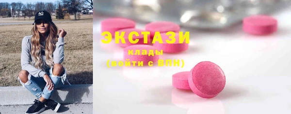 индика Зеленодольск