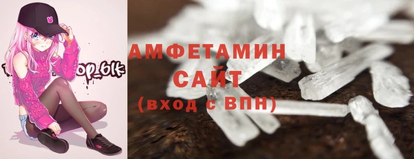 индика Зеленодольск