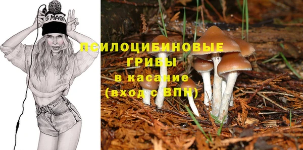 индика Зеленодольск
