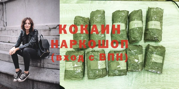 apvp Инсар