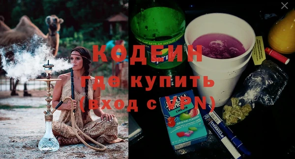 сатива Инта