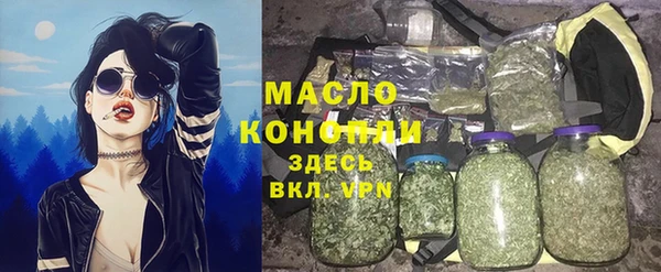 индика Зеленодольск