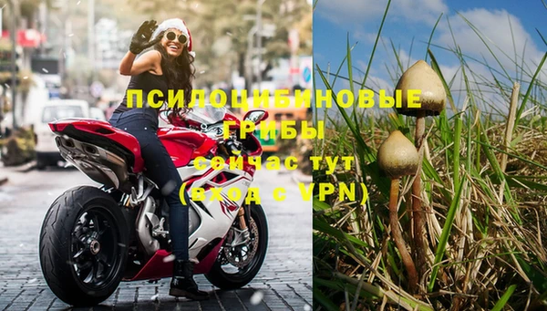 a pvp Зеленокумск