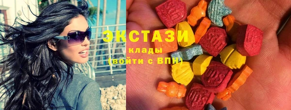 индика Зеленодольск