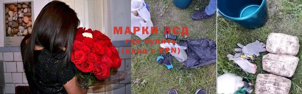 индика Зеленодольск