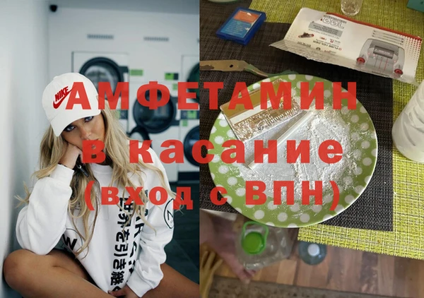 индика Зеленодольск